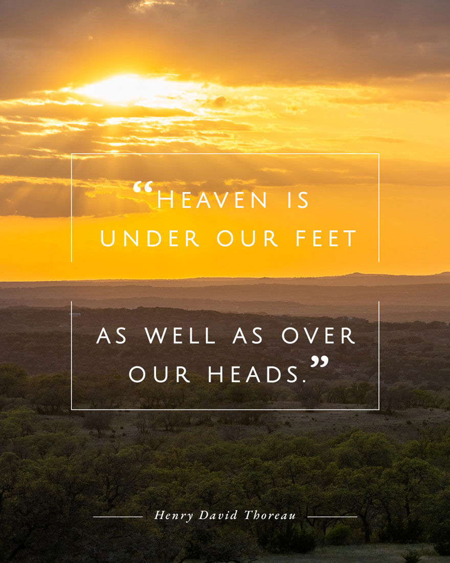 Golden sunset over rolling hills, overlaid text reads 'The Preserve is under our feet as well as over our heads'